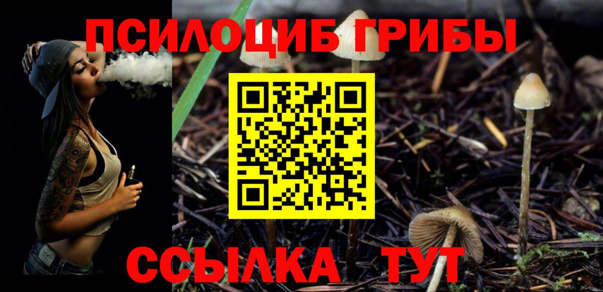 Псилоцибиновые грибы MAGIC MUSHROOMS  Вход с VPN  Алексин  хочу наркоту  Галлюциногенные грибы Magic Shrooms 